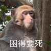 相关助眠主播头像